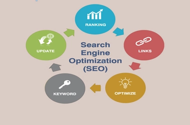 SEO Expert